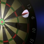 darts player nine dart finish