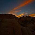 joshua tree landscape