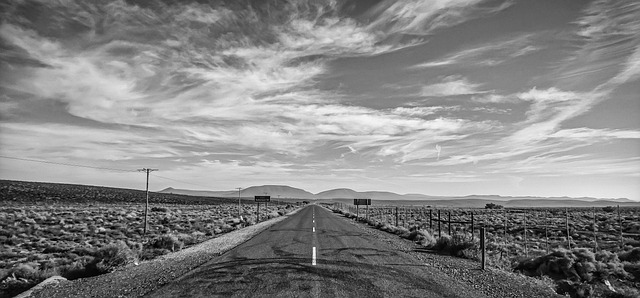 A road trip map with pins marking destinations and routes