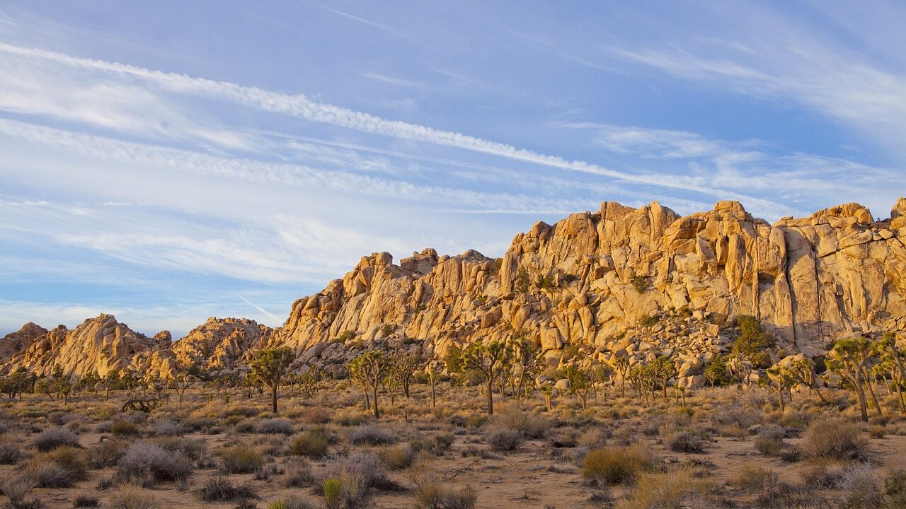 Things to Do at Joshua Tree National Park
