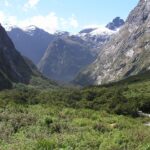 New Zealand landscape
