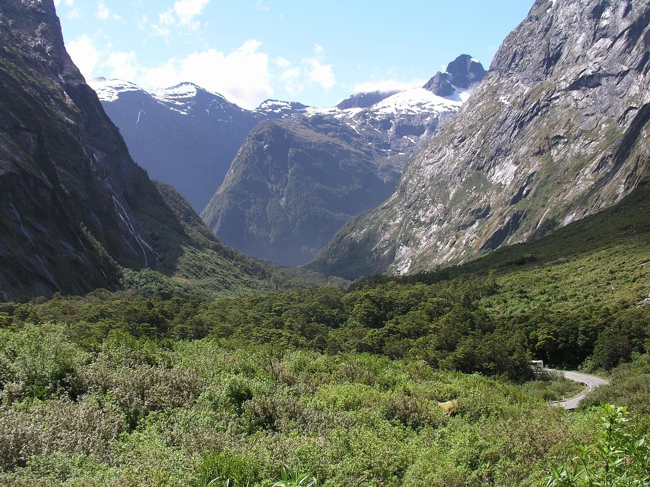 New Zealand landscape