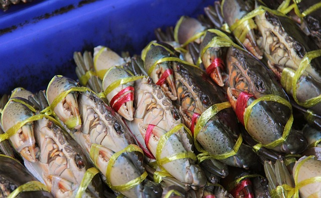 Variety of fresh seafood at Kuromon Market